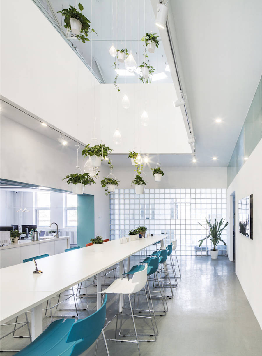 用綠色植物點(diǎn)綴的辦公室設(shè)計(jì)