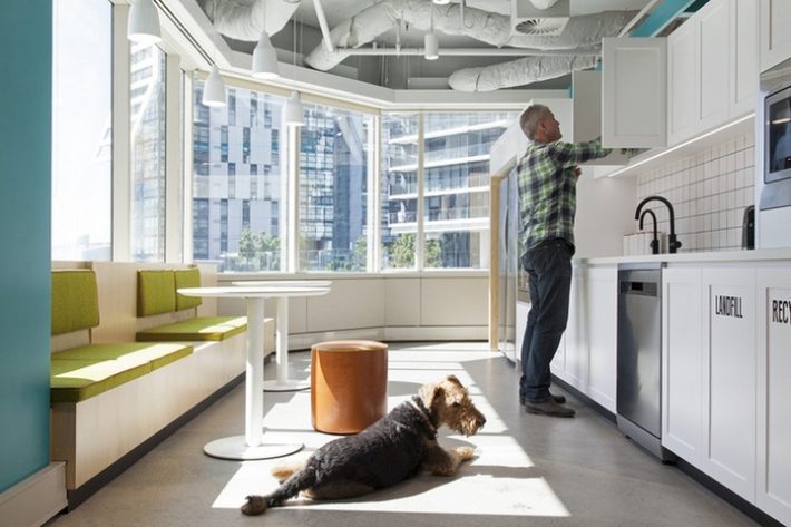極賦樂(lè)趣的寵物管理所辦公室設(shè)計(jì)